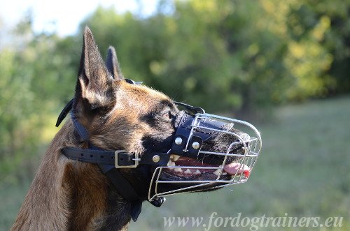 Hunde Maulkorb fr Malinois Obedience Training
