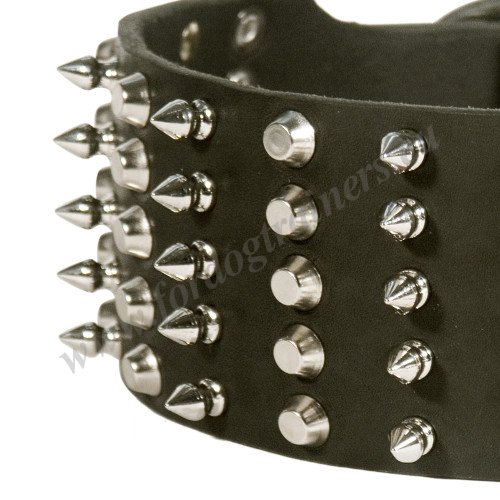 Wide Collar
for Dogs with Pyramids and Spikes