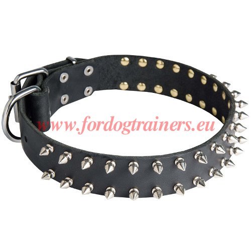 Lederhalsband fr Hunde Top-Qualitt