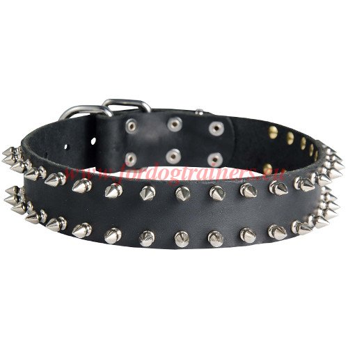 Spiked Dog Collar