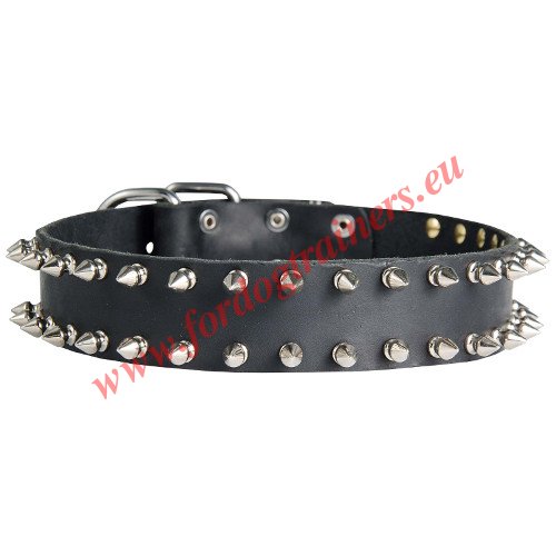 Leren Spikes halsband Hondenhalsband
Fordograiners