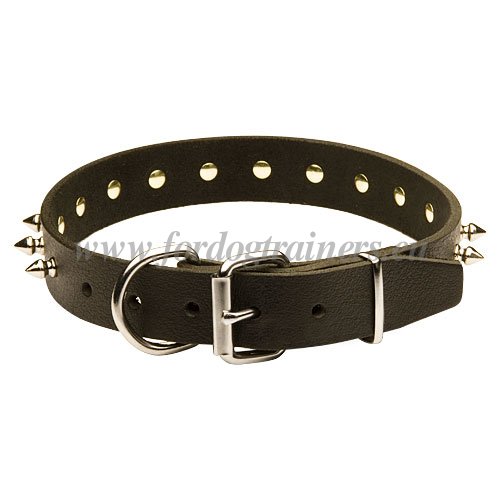 Spiked Collar for Dog