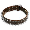 Halsband mit spikes