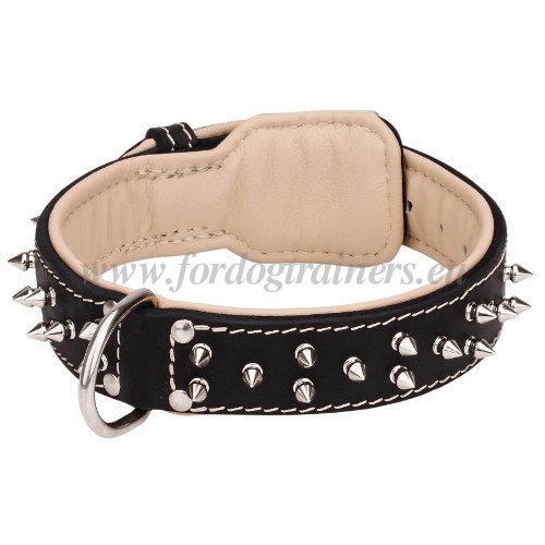 Spiked Dog
Collar Genuine Leather