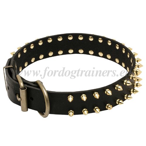 Leather Collar with Brass Buckle and Ring