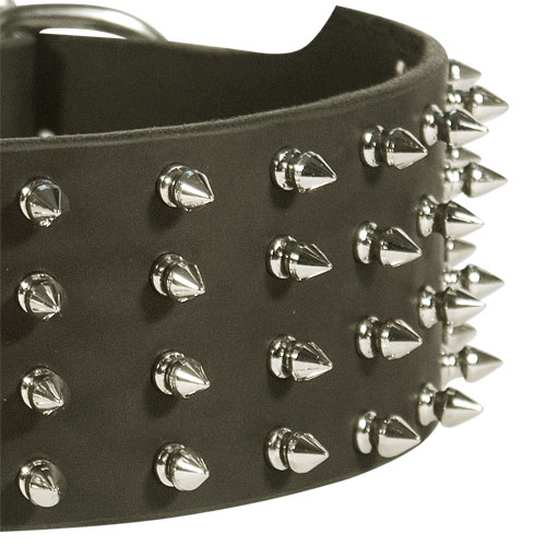 Spiked Leather Collar for Giant Dog