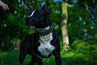 Amstaff Spiked Lederen halsband | Extra Breed