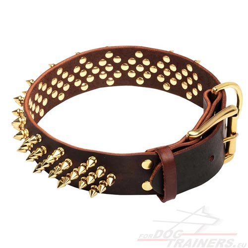 Big Dog Collar Spiked