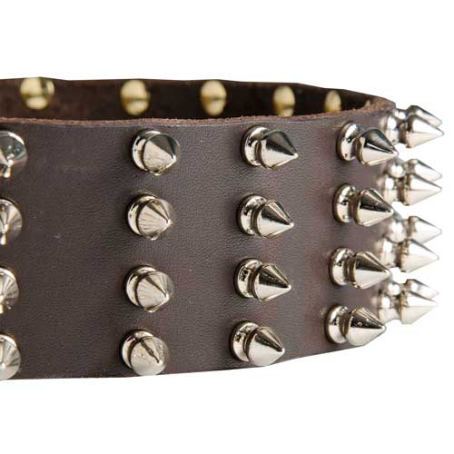 Dog Collar Nickel-plated Spikes