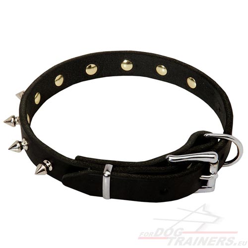 Small Dog Collar Narrow Spiked