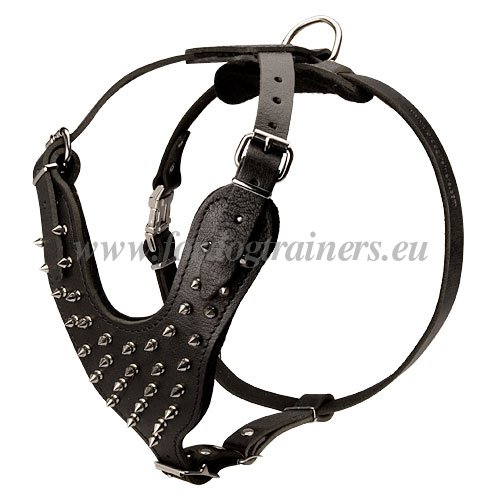 Spiked Harness for Large Dog