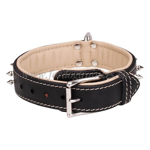 Leather Dog Collar Spiked
