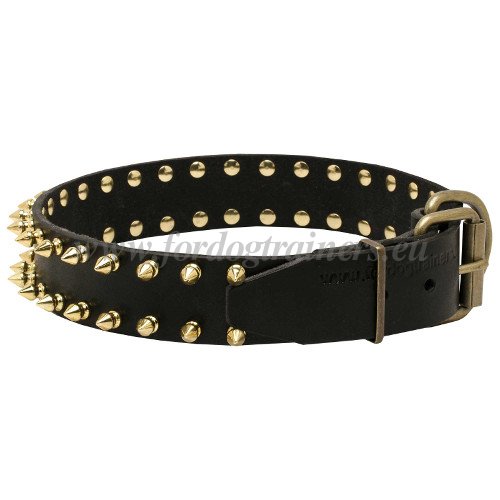 Handmade Dog Collar with Spikes