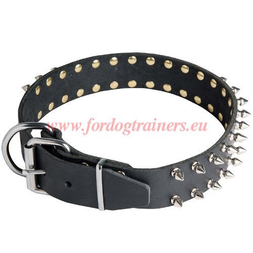 Dog
Collars with Spikes