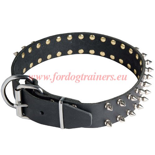 Leder Halsband Spikes Malinois