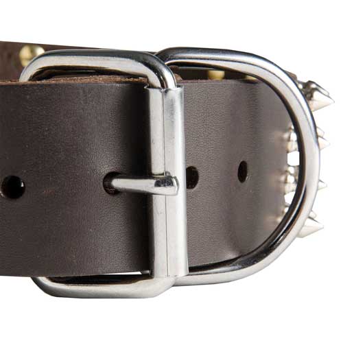 Reliable Buckle of the Wide Collar for Big Dog