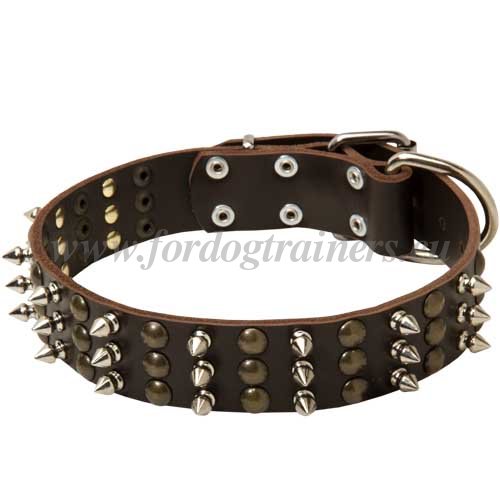 Genuine Leather Dog Collar with Mixed Decoration