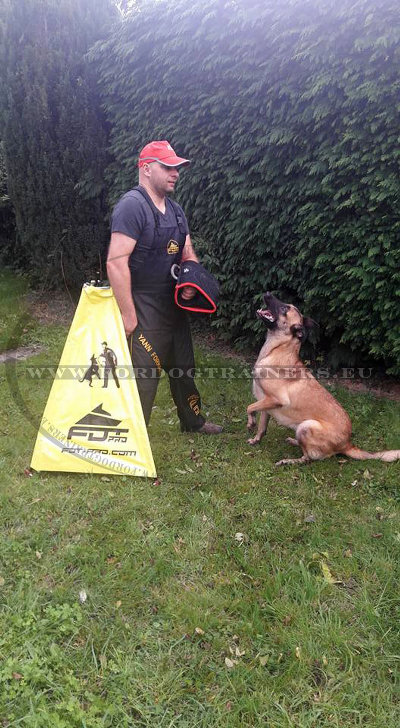 Cachette entraînement des chiens