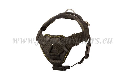 Strong Dog
Nylon Harness