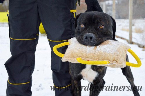 Bandog
Bite Training Pillow