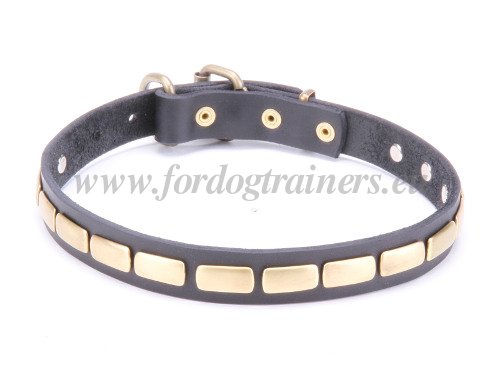 Leder Halsband mit glanzvollen Messinf Platten