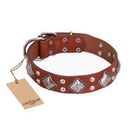 Tan Leather Studded Collar for Dogs