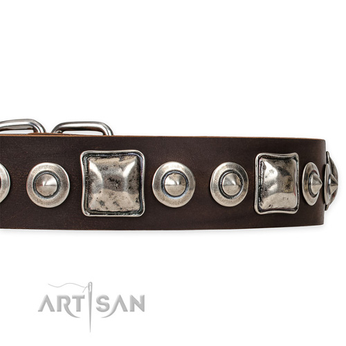 Dog Walking Brown Leather Collar