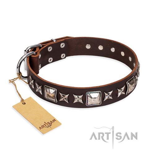 Brown Leather Dog Collar with Studs