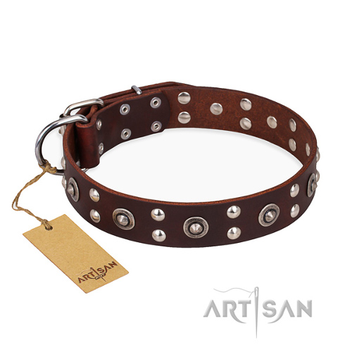 Designer Collars for Dogs with Studs
