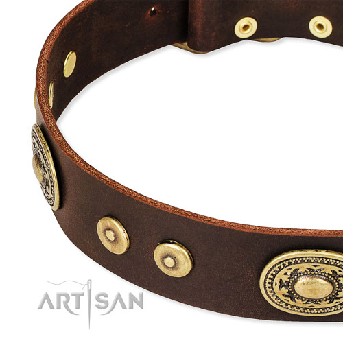 Handmade Collar for Dogs Bright Gold