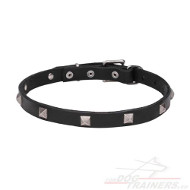 Studded
Narrow Dog Collar