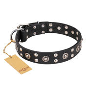 Black Studded Dog Collar