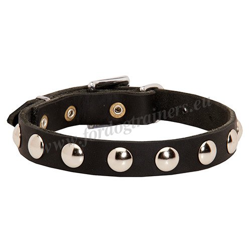 Handmade Studded Dog Collar