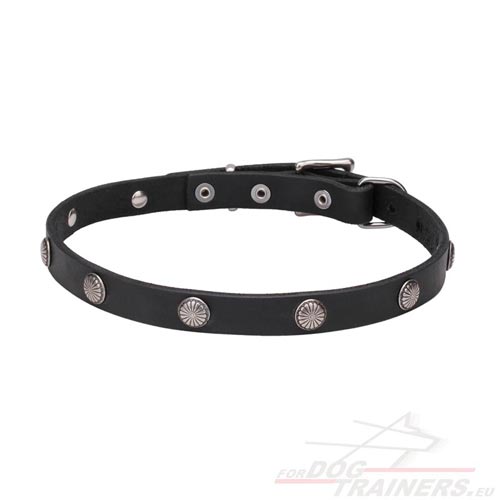 Quality Leather Collar for Large Dogs