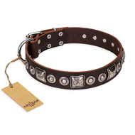 Collier marron pour chien en cuir