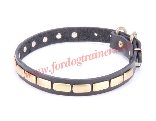 Narrow Dog
Collar