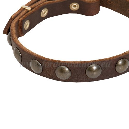 Brown Leather Studded Collar