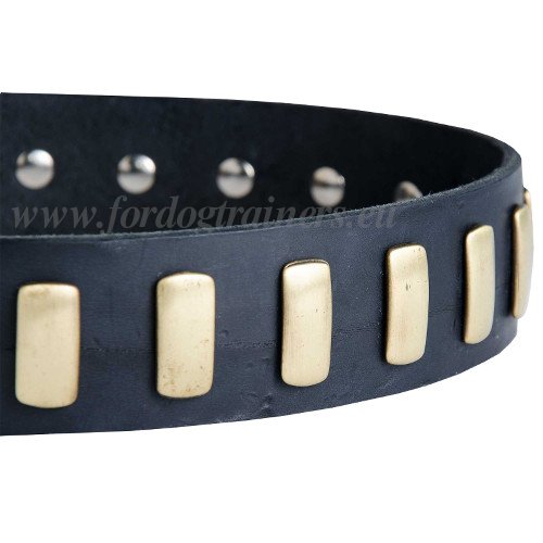 Designer Dog Collar with Plates