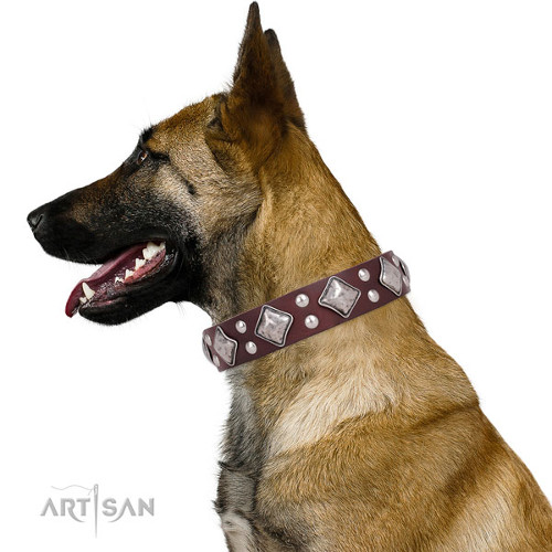 Designer Leather Collar for Working Dogs