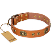 Wide Tan Dog Collar
with Studs Tan Leather Collar for Dog