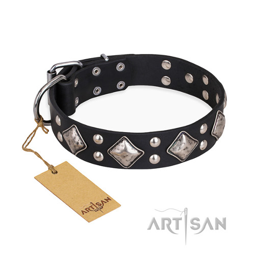 Studded Leather Dog Collar Black