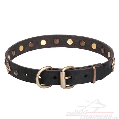 Leather Dog Collar Studded with Stars