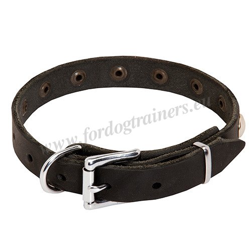 Dog Collar Buckle Riveted