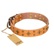 Star Studded Leather Dog Collar