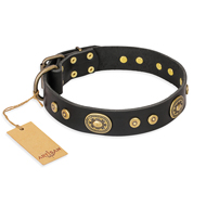 Black Dog Collar with Vintage Studs