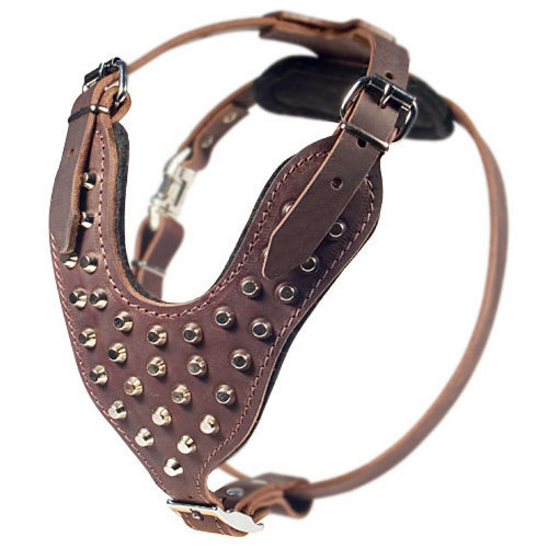 Designer Brand Dog Harness Studded