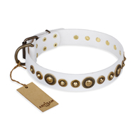 Leather Dog
Collar with Round Decorations Brass Studded White Leather Collar