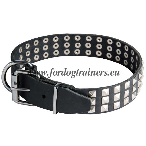 Dog Walking Collar with Studs with Nickel-plated
Hardware