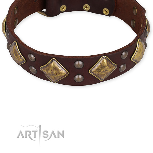 Brass Studded Leather Dog Collar with Hardware