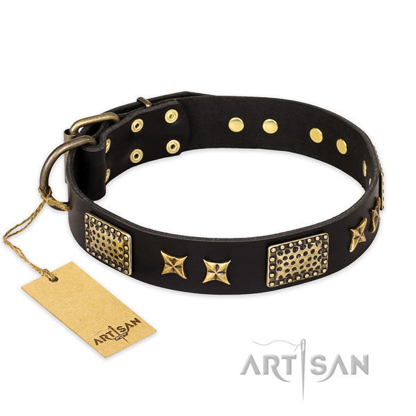 Studded Leather Collar for Dog Handling